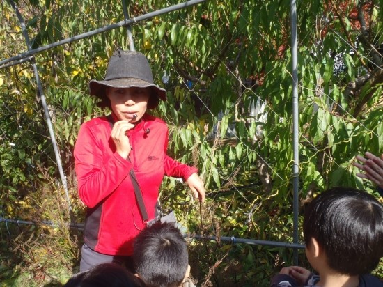 PA280257.JPG?type=w3