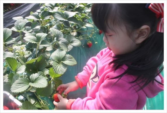 %BB%E7%C1%F8_262.jpg?type=w1