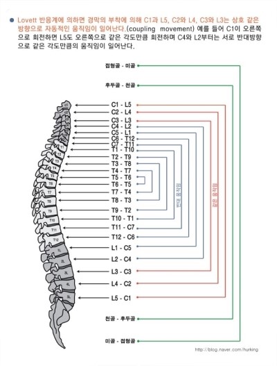 알로벳 이미지