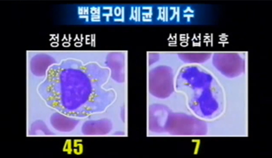[스크랩] 백혈구 수치가 낮은 이유