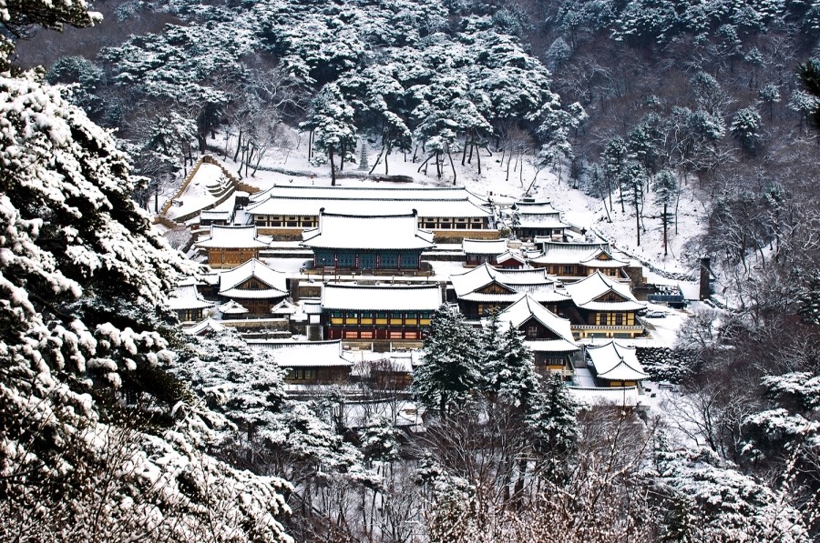 오도산황토펜션 이미지