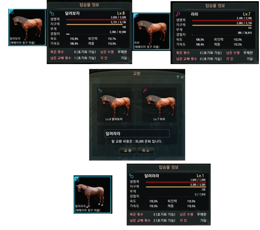 검은사막 말교배 말교환으로 대박나볼까 첫 교배와 교환 결과는 네이버 블로그