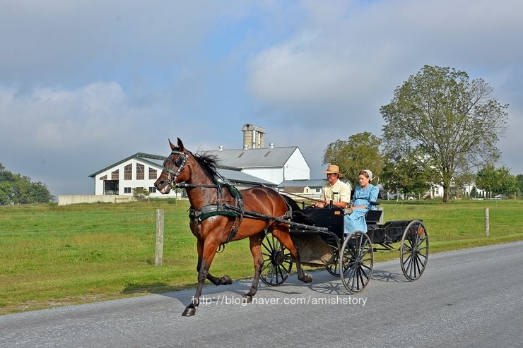기금모금 경매 행사장으로 가는 길 : 네이버 블로그
