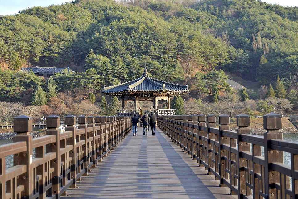 _DSC9384.jpg?type=w966