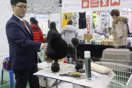 프로펫애견미용학원 이미지