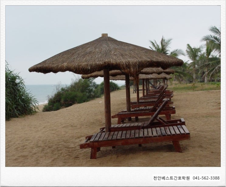 베스트간호학원 이미지