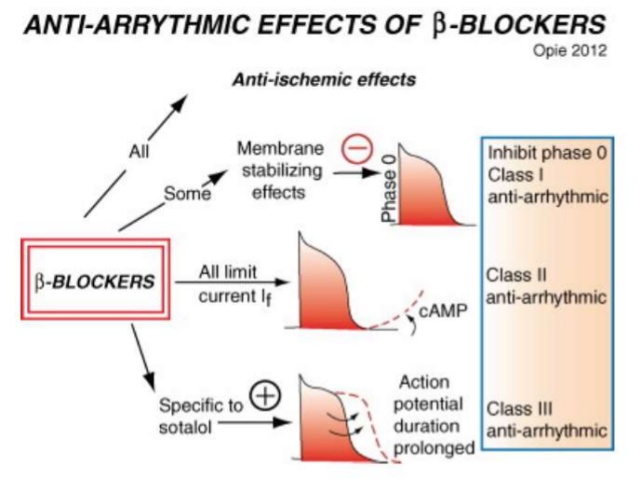 antiarrhythmic-agents-vaughan-williams-class-ia-b-c-ii-bb