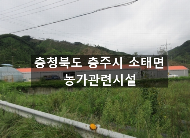 농업회사법인초록에주식회사 이미지