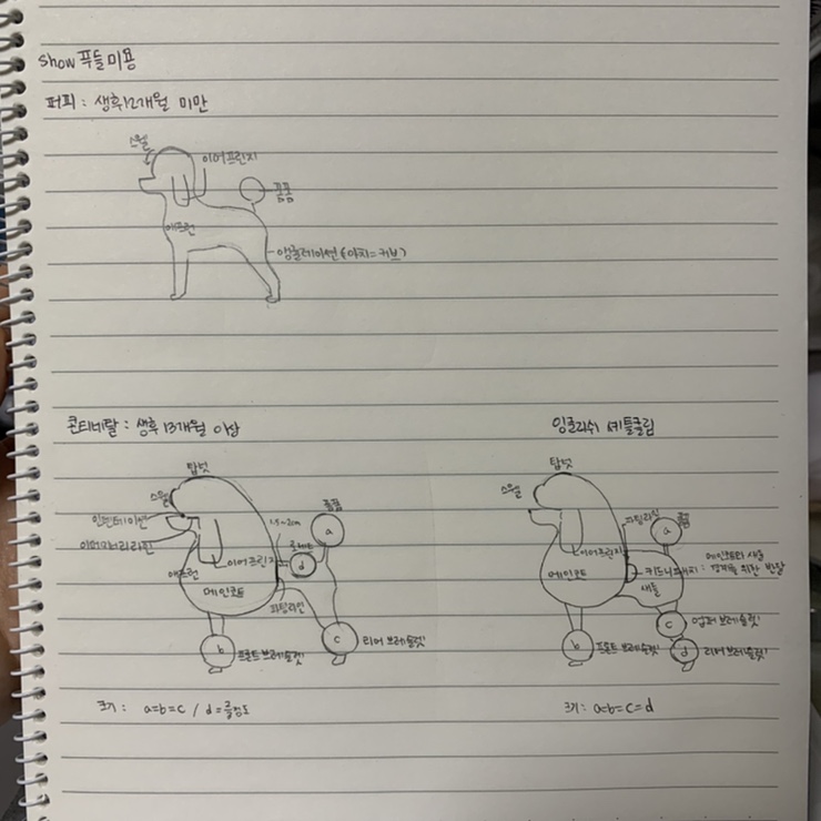 로제트리 이미지