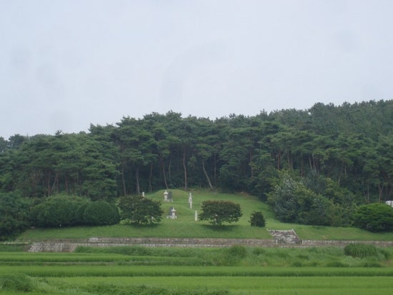 result_2008_6_4_0_45_24_625_23-tklim1.jpg?type=w3