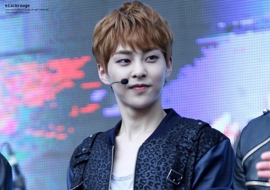 연예인 동물관상